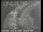 Webcam in San Francisco, California, 14.2 km