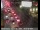 Webcam in San Francisco, California, 48.5 mi away