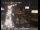 Webcam in San Francisco, Kalifornien, 3.2 km entfernt