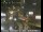 Webcam in San Francisco, Californien, 5.8 km