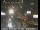 Webcam in San Francisco, California, 11.6 km