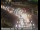 Webcam in San Francisco, Californien, 5.5 km