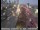 Webcam in San Francisco, California, 2.1 mi away