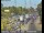 Webcam in San Jose, California, 2.1 mi away