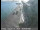 Webcam in Richmond, Kalifornien, 35.4 km entfernt