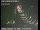 Webcam in Richmond, Californie, 77 km