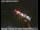 Webcam in Richmond, Californie, 6.8 km