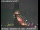 Webcam in Richmond, California, 6.5 mi away