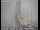 Webcam in Richmond, California, 3.1 mi away