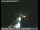 Webcam in Richmond, California, 82.1 km