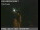 Webcam in Richmond, Californie, 36.4 km