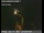 Webcam in Richmond, Californie, 12.4 km