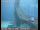 Webcam in Richmond, California, 2.6 mi away