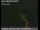 Webcam in Richmond, California, 3.1 mi away