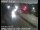 Webcam in Oakland, California, 8.1 mi away