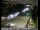Webcam in San Francisco, California, 0.7 mi away