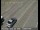 Webcam in San Francisco, Kalifornien, 32.7 km entfernt