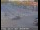 Webcam in Berkeley, California, 0.1 km