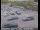 Webcam in Berkeley, Californie, 0.1 km