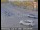 Webcam in Berkeley, California, 0.1 mi away