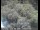 Webcam in Mountain View, Kalifornien, 32.5 km entfernt