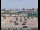 Webcam in Mountain View, California, 8.1 mi away