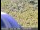 Webcam in Mountain View, Kalifornien, 30.9 km entfernt
