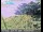 Webcam in Mountain View, California, 4.3 mi away