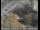 Webcam in Palo Alto, California, 13.1 mi away