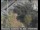 Webcam in Palo Alto, California, 10.9 mi away