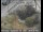 Webcam in Palo Alto, Californien, 4.1 km