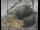 Webcam in Palo Alto, Californie, 4.1 km