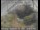 Webcam in Palo Alto, Kalifornien, 4.1 km entfernt