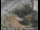 Webcam in Palo Alto, Kalifornien, 28.4 km entfernt