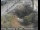 Webcam in Palo Alto, Kalifornien, 1.9 km entfernt