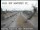 Webcam in Gilroy, Kalifornien, 83 km entfernt
