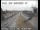 Webcam in Gilroy, Kalifornien, 34.5 km entfernt