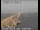 Webcam in San Mateo, Kalifornien, 13.7 km entfernt