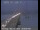 Webcam in San Mateo, California, 5.3 mi away
