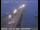 Webcam in San Mateo, California, 25.1 km