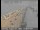 Webcam in San Mateo, Californien, 27.9 km