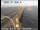 Webcam in San Mateo, Californie, 4.4 km