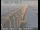 Webcam in San Mateo, California, 8.5 mi away