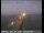 Webcam in San Mateo, California, 8.3 mi away