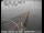 Webcam in San Mateo, California, 8.5 mi away