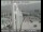 Webcam in Oakland, Kalifornien, 8.1 km entfernt