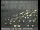 Webcam in Oakland, California, 6.5 mi away