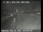 Webcam in Oakland, Californie, 16.8 km