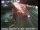Webcam in Oakland, Kalifornien, 10.8 km entfernt