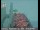 Webcam in Oakland, Kalifornien, 6.6 km entfernt